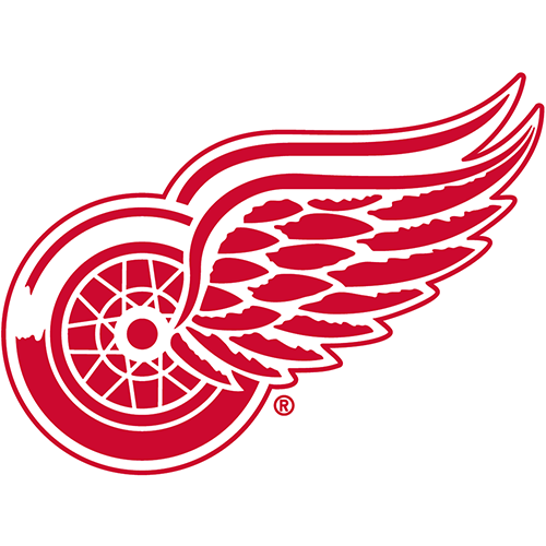 (image for) Detroit Red Wings 1948-Pres Primary Logo iron on heat transfer - Click Image to Close